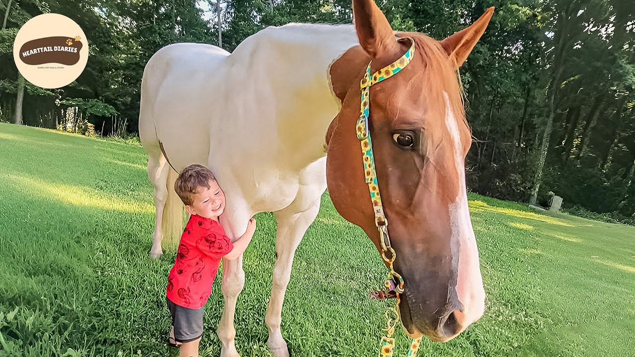 3 Sanctuary Horse Stories That Will Make You Smile Through Tears