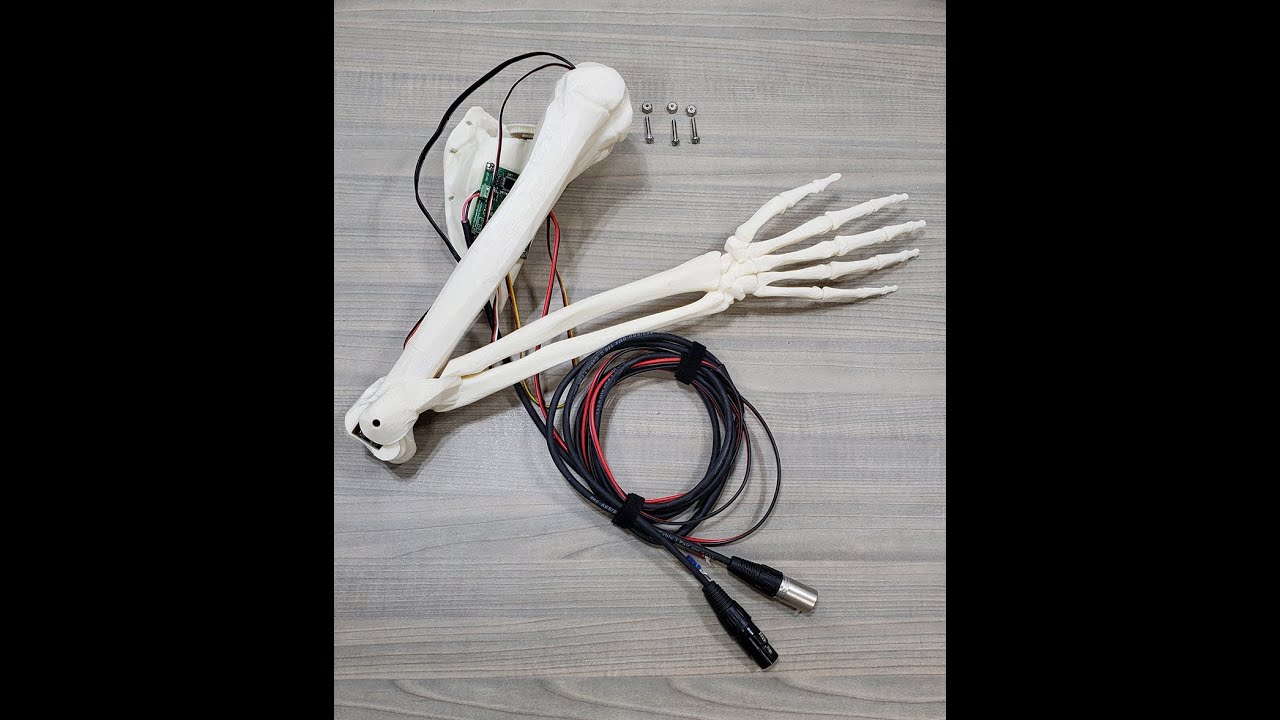 Halloween Skulls Moving Arms
