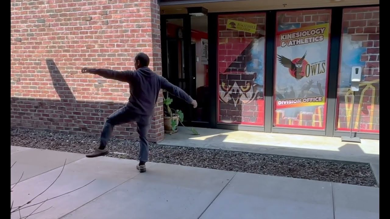 Chen Style Taijiquan Lao Jia Yilu (陳式太極拳老架一路) Rear View - Part 2 of 3