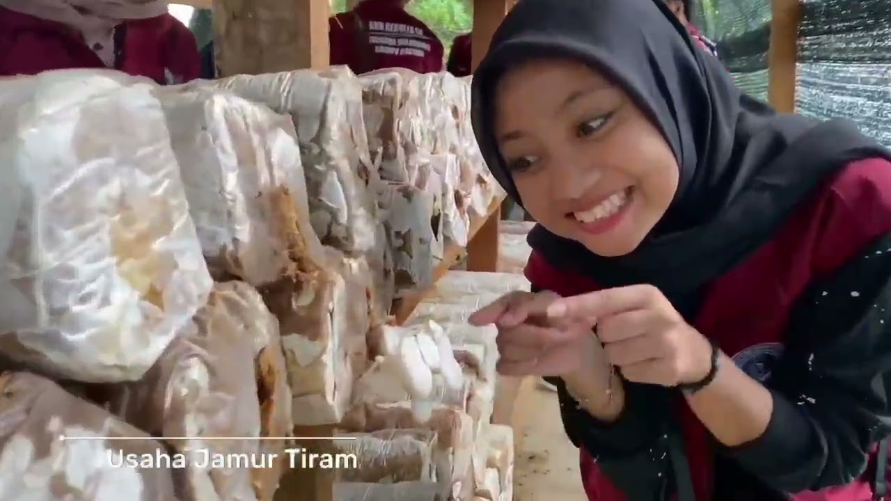 KKN EMAS 50 UNMUL 2024  BONTANG 05 KELURAHAN SATIMPO
