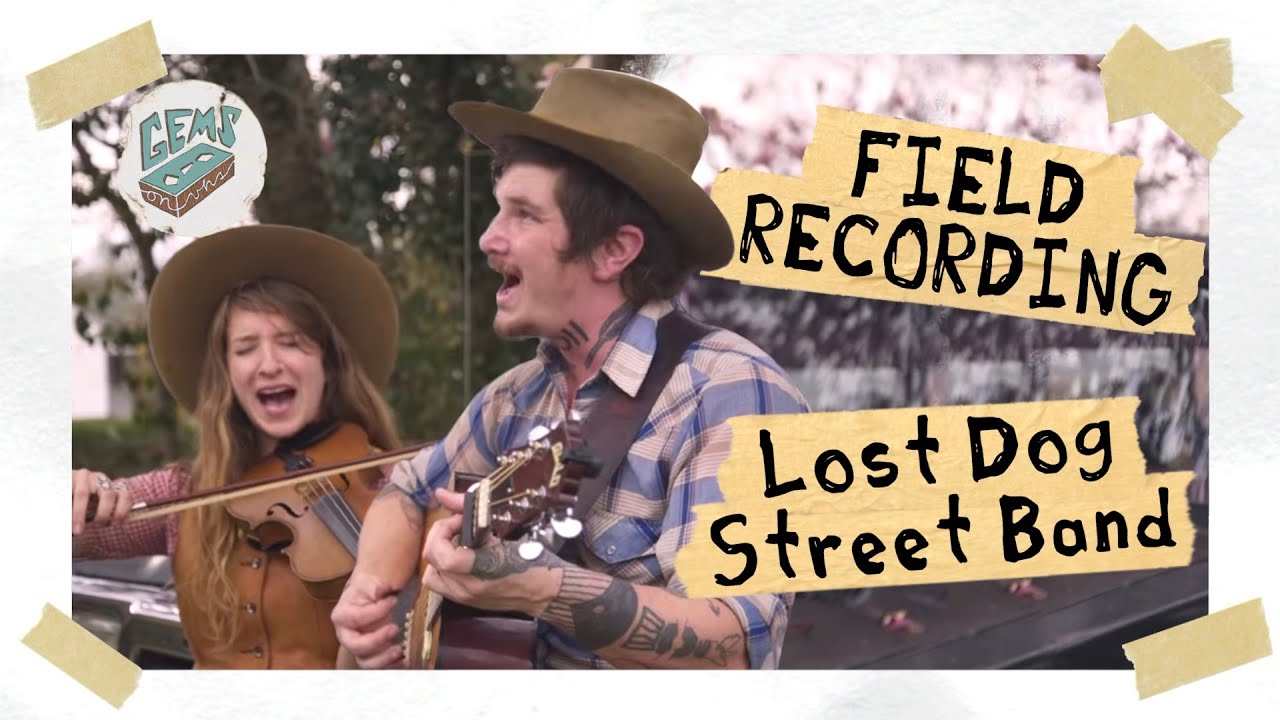 Lost Dog Street Band, 