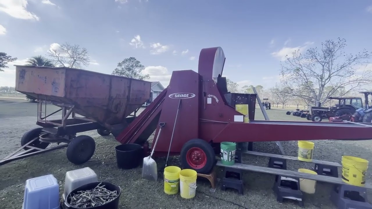 Урожай пекана 2025 года, часть 3, сбор и сортировка урожая.