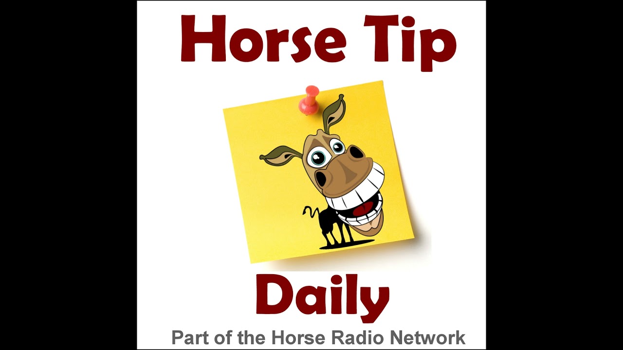 Horse Tip Daily #755 by ThinLine Global &ndash; Leg Protection Series Part 1: Who Needs It & Why?