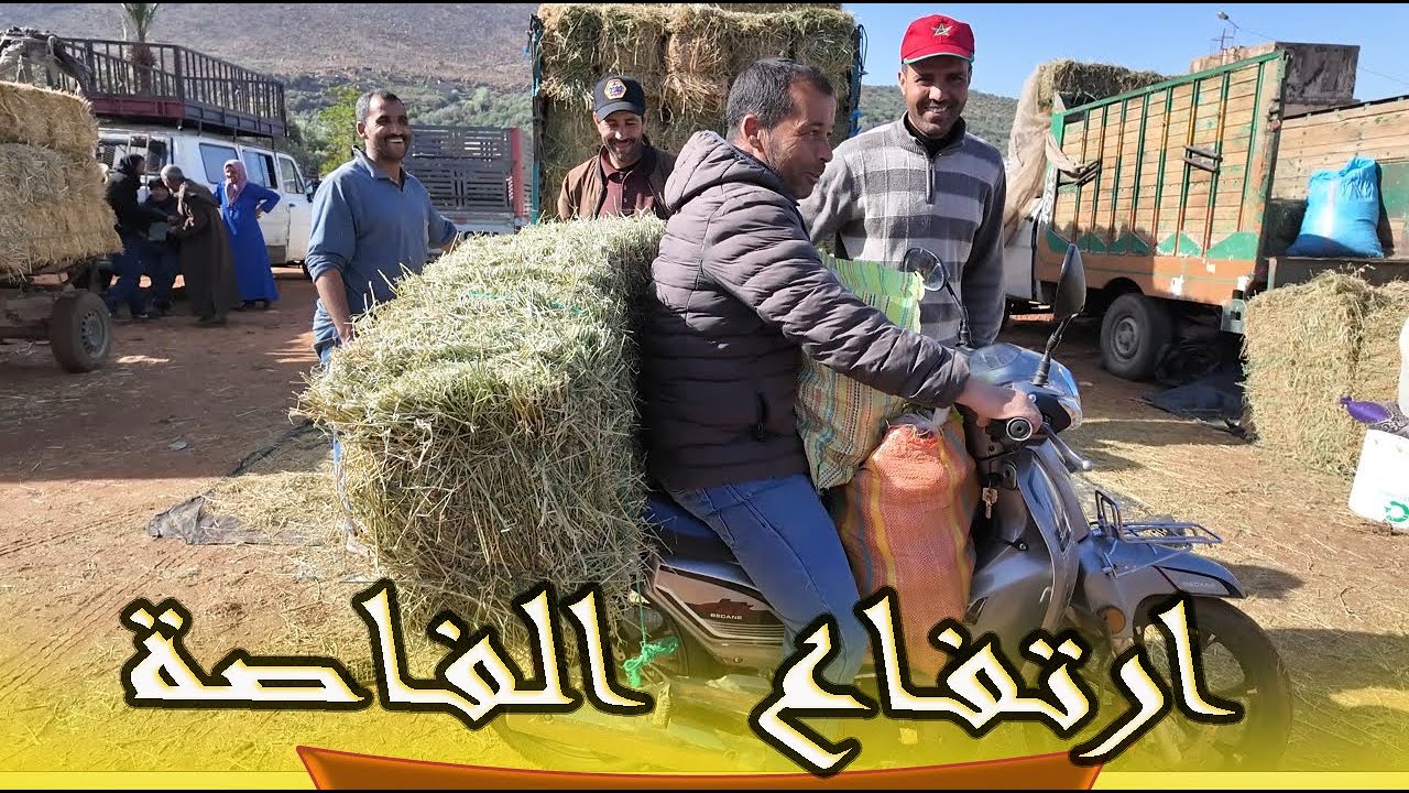 ارتفاع ثمن البال علف الفاصة  والتبن من سوق تاكزيرت بني ملال 14/03/2024