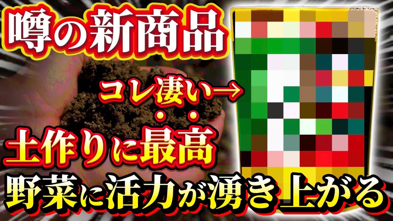 【噂の新製品】コレを入れると植物に活力が湧き上がる！すごい製品について話します