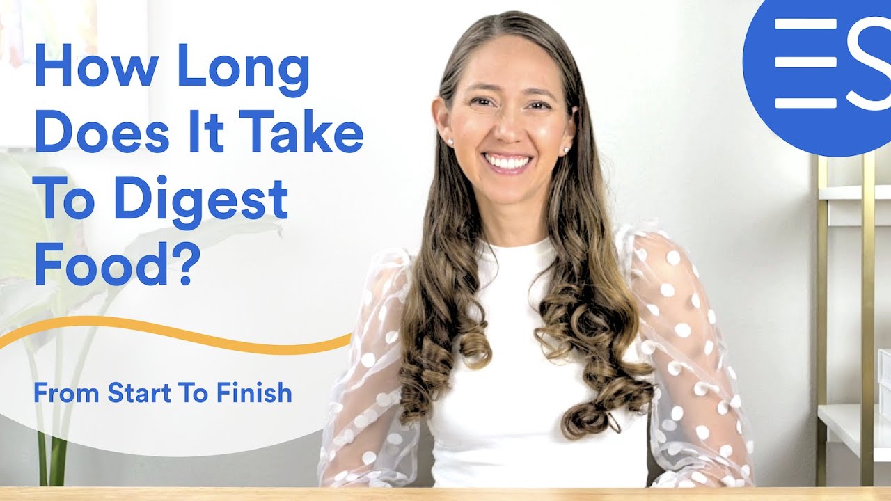 How Long Does It Take To Digest Food?  A Journey Into Your Gut