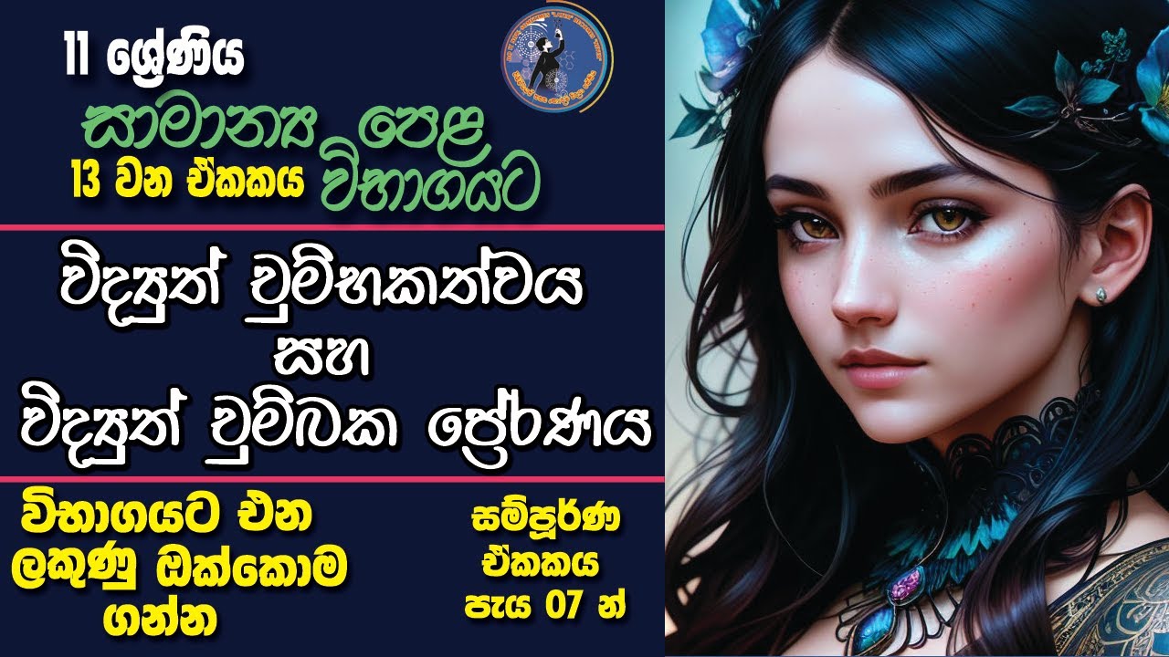 11ශ්‍රේණිය විද්‍යුත් චුම්බකත්වය සහ විද්‍යුත් චුම්බක ප්‍රේරණය Unlocking the Power of Electromagnetism