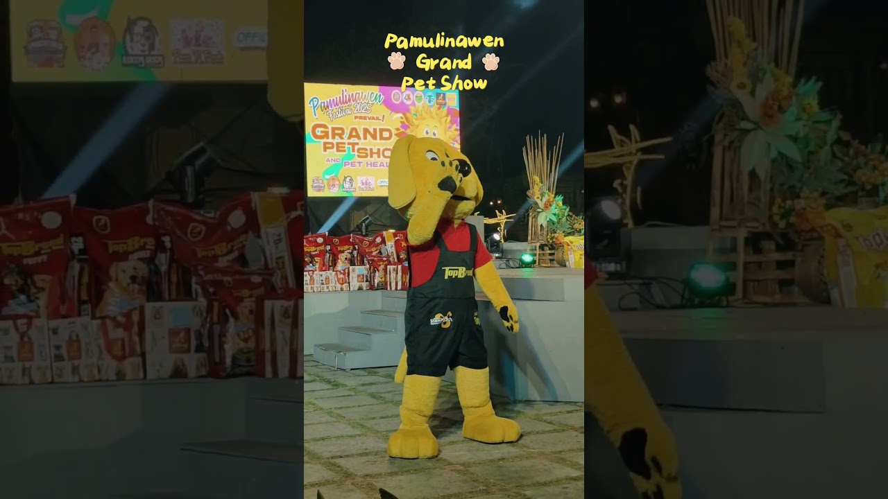 Pamulinawen Grand Pet Show Ilocos #PamulinawenFestival #Pamulinawen #Laoag#PetShow #PetLovers