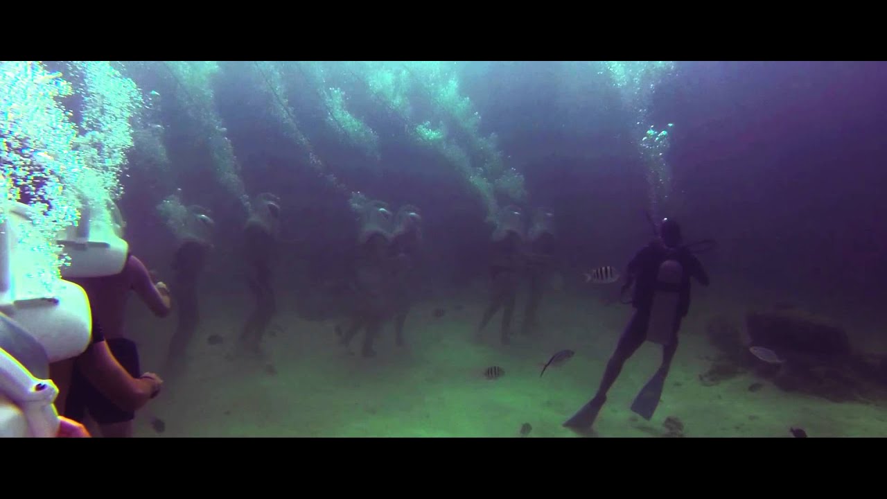 Seaquarium Punta Cana - SEATREK