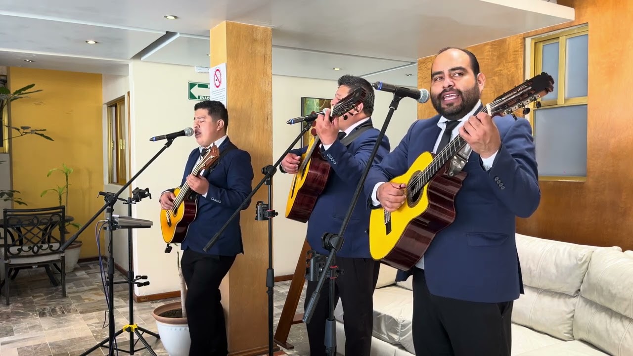 No lastimes más - Luis Alberto Aguilera Valadez - Trío los Pingüinos - trío elegante de México