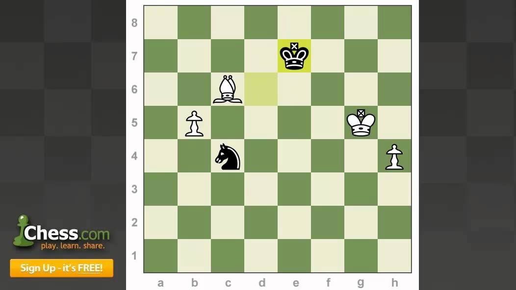Chess Endgames: Hess' Scintillating Endgame Tactics