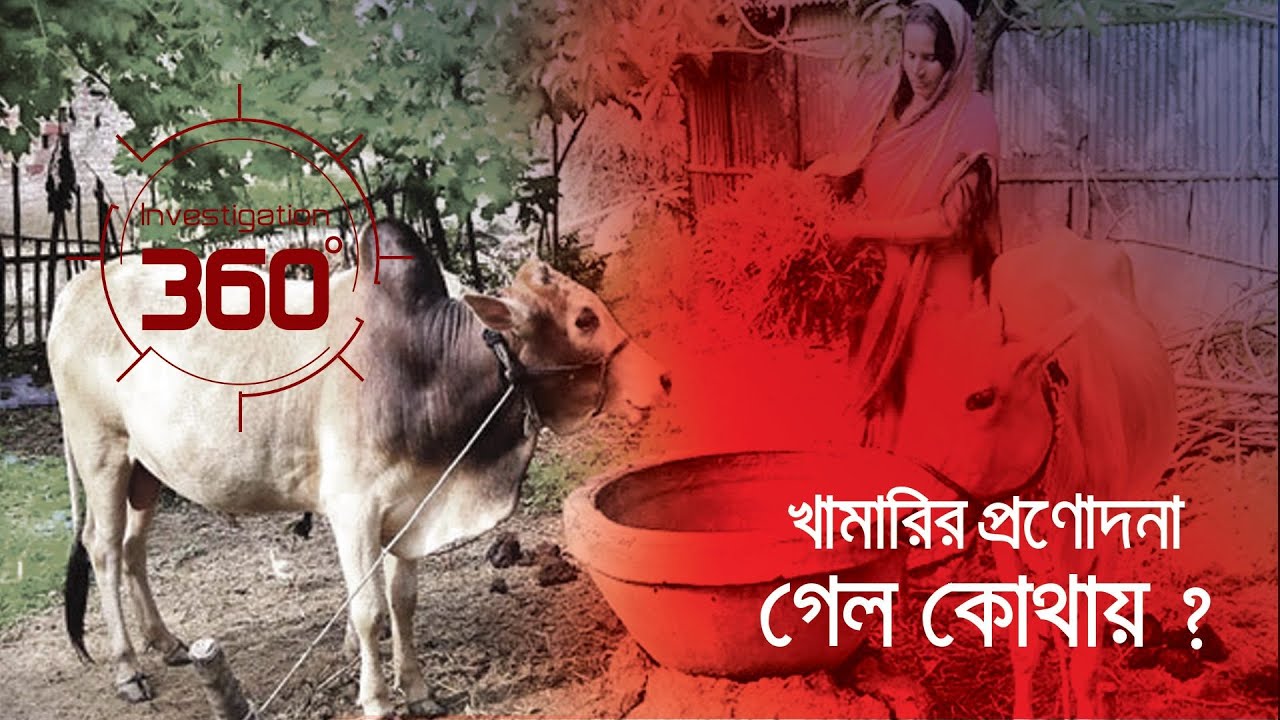 খামারির প্রণোদনা গেল কোথায়? | Investigation 360 Degree | EP 288