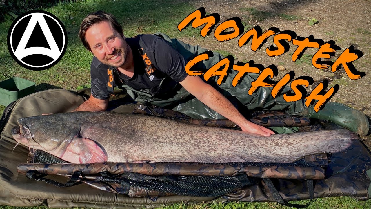 Episode 5. Monster Catfish