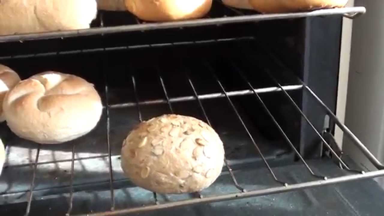 Kitten Steals My Buns - Waffles the Terrible