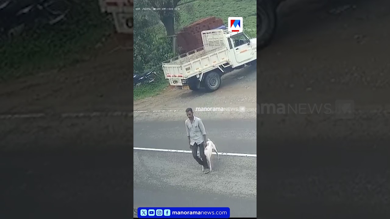 ഇടുക്കി പീരുമേട്ടില്&zwj; തെരുവുനായ ആക്രമണം; 12 പേർക്ക് കടിയേറ്റു #idukki  #straydog