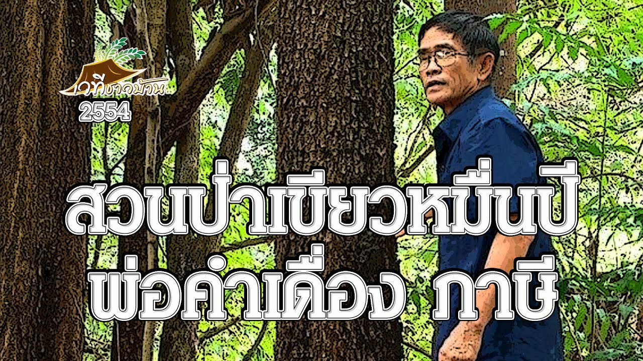 อาณาจักรเขียวหมื่นปีของพ่อคำเดื่อง