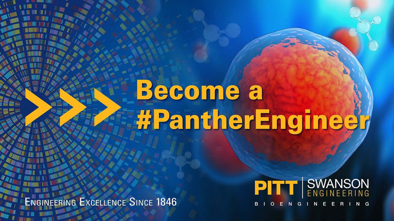 Bioengineering Graduate Program @ Pitt