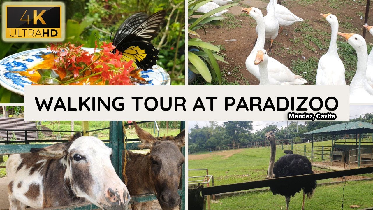Paradizoo Theme Park - Mendez Tagaytay | Walking Tour