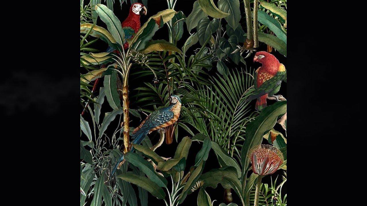 [FREE] Jungle Jack x Mairo type beat - 