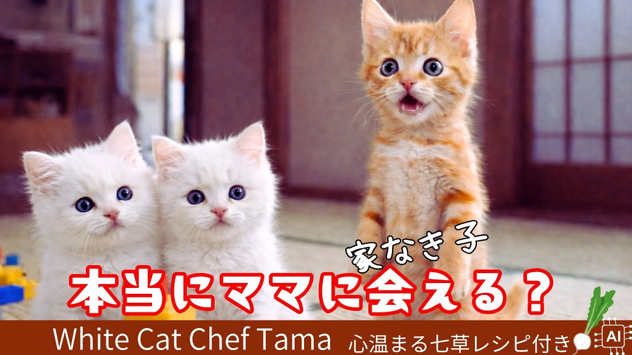【タマのごはん処】はたして親子なのか？奇跡を祈る春の七草物語