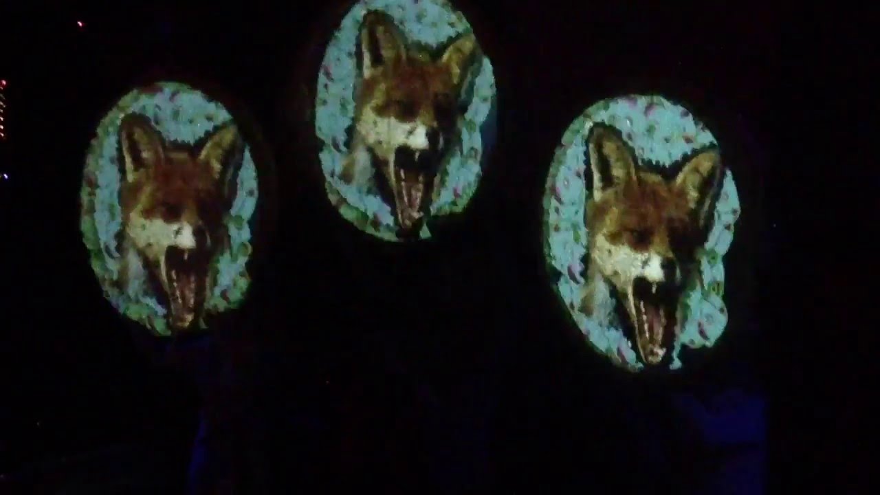 Bunny Ain't No Kind of Rider by Of Montreal @ Culture Room on 4/1/16