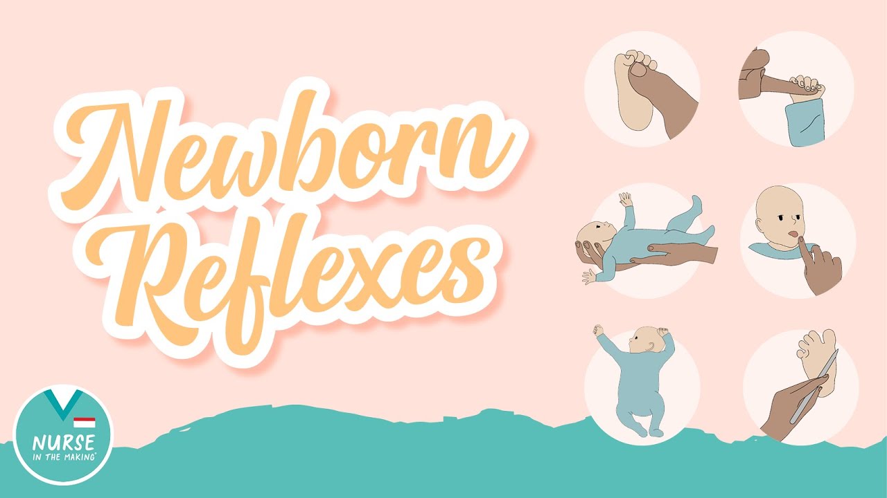 Newborn Reflexes &raquo; Maternity Nursing
