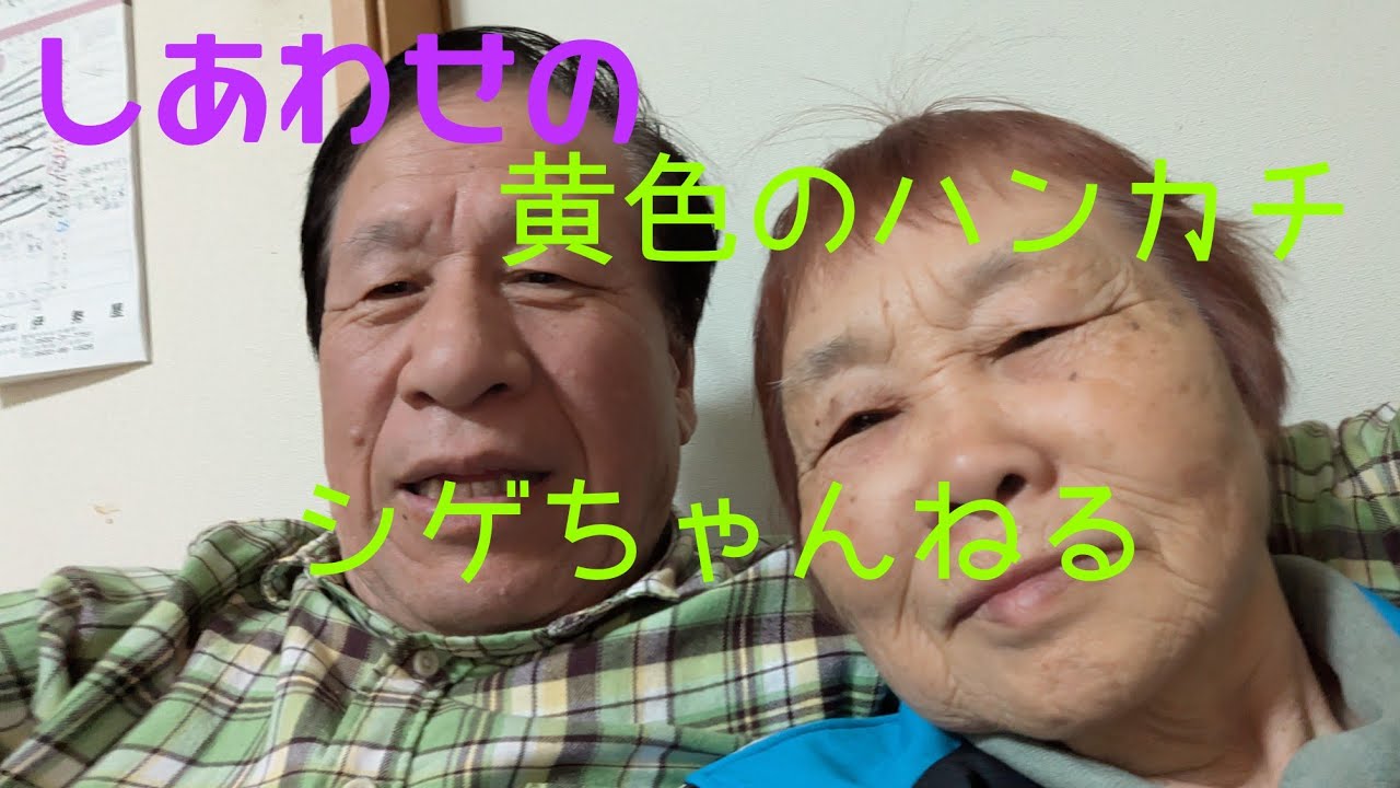 シゲちゃんねる／認知症テストの結果？つぶやき