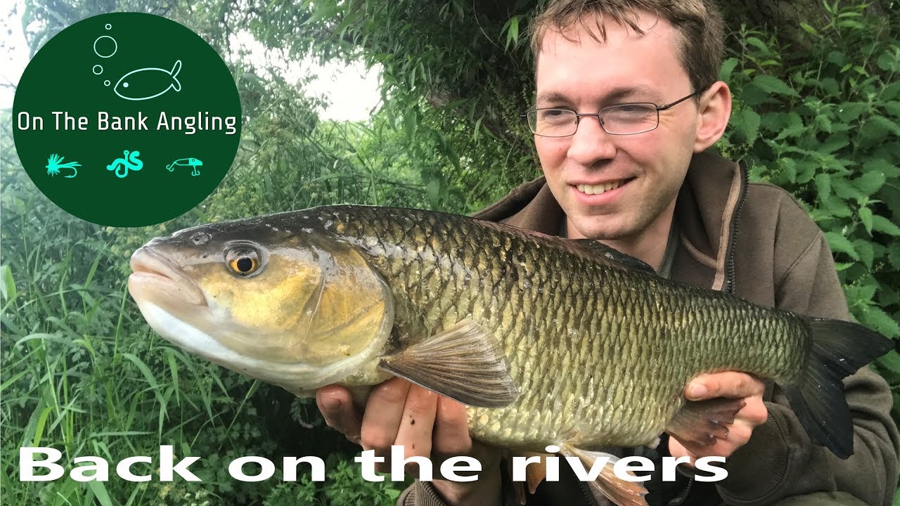 Catching Chub on Pellets at Throop Fishery - Dorset Stour