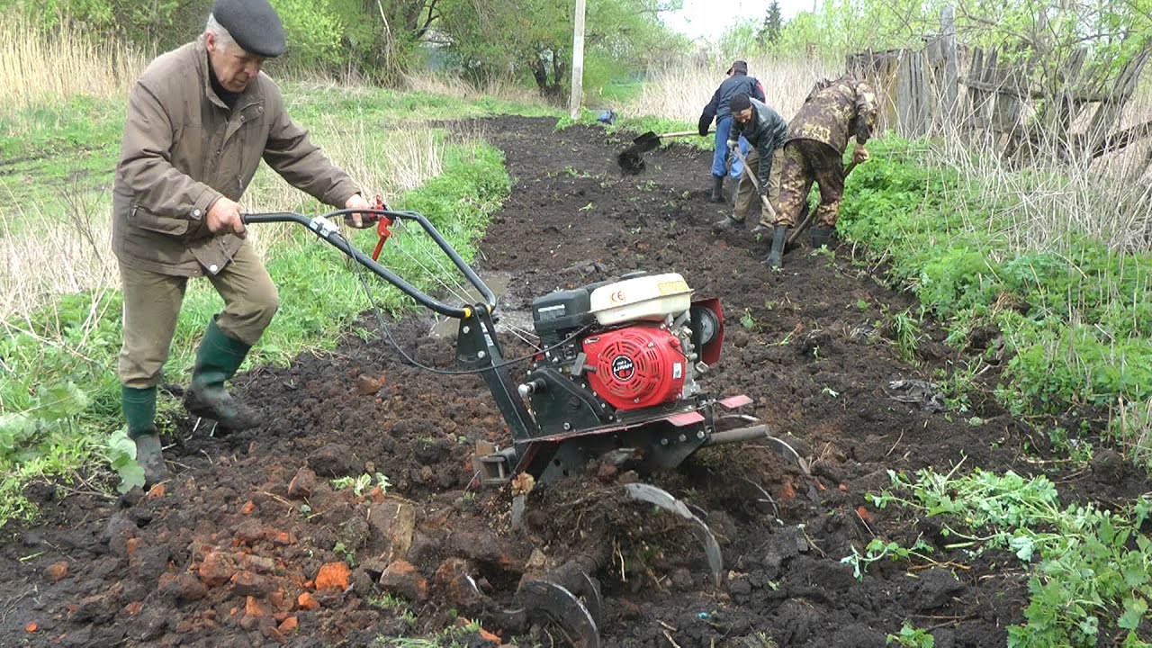 Фрезы каракатицы,тестирование и немного про огород