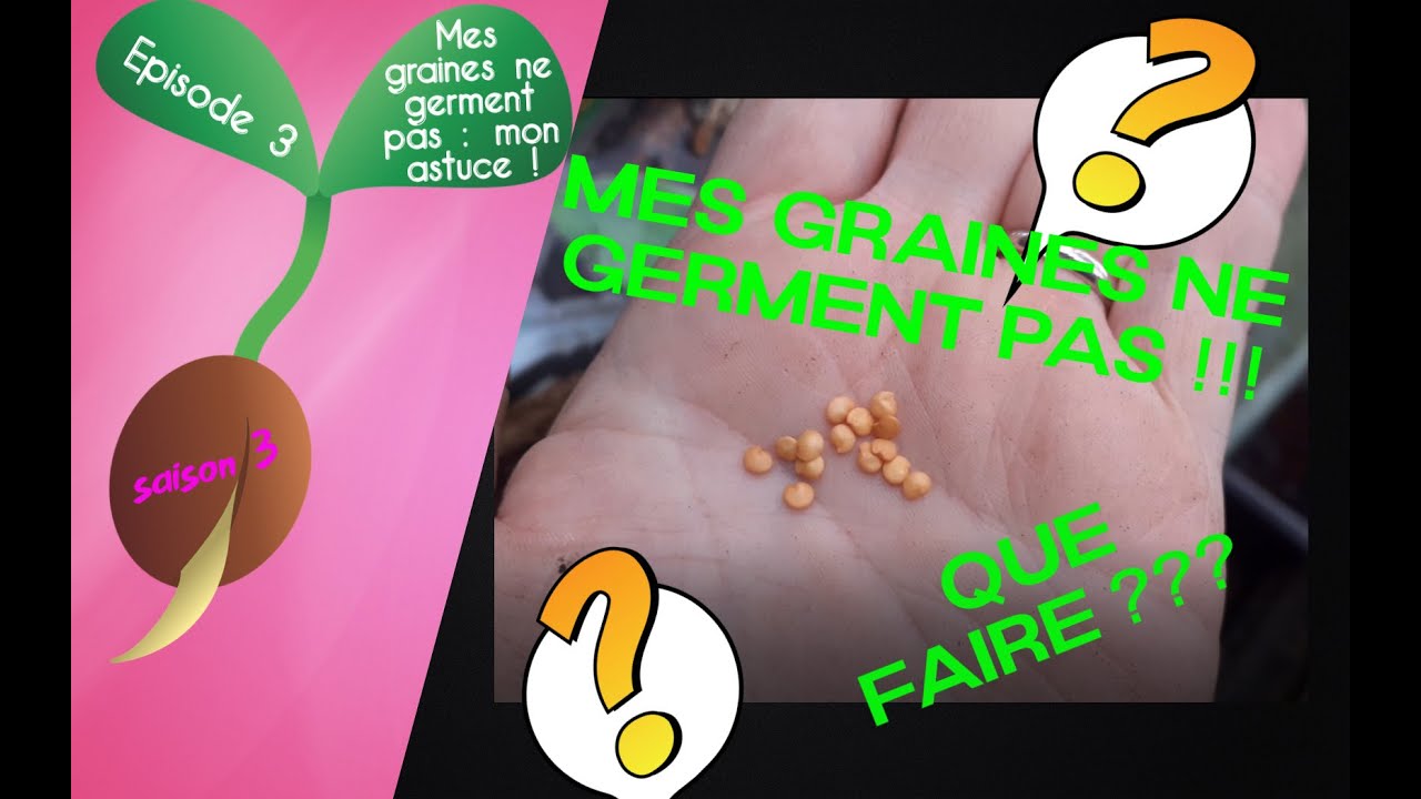 🌱S3 - Episode 3 : Mes graines ne germent pas ! J'ai la solution !🌱