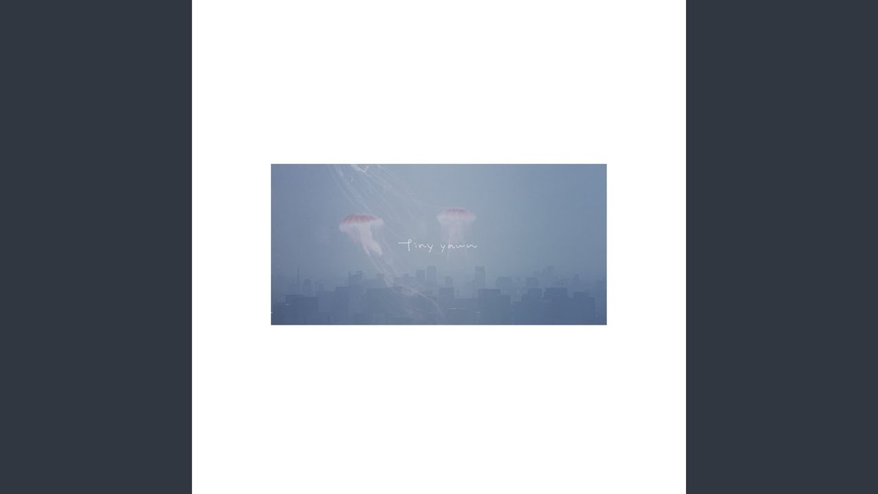 海の法則