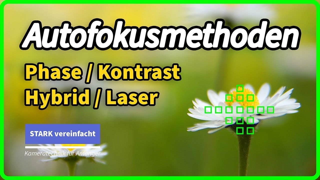 Autofokus erklärt: Phasen, Kontrast und Laser im Vergleich