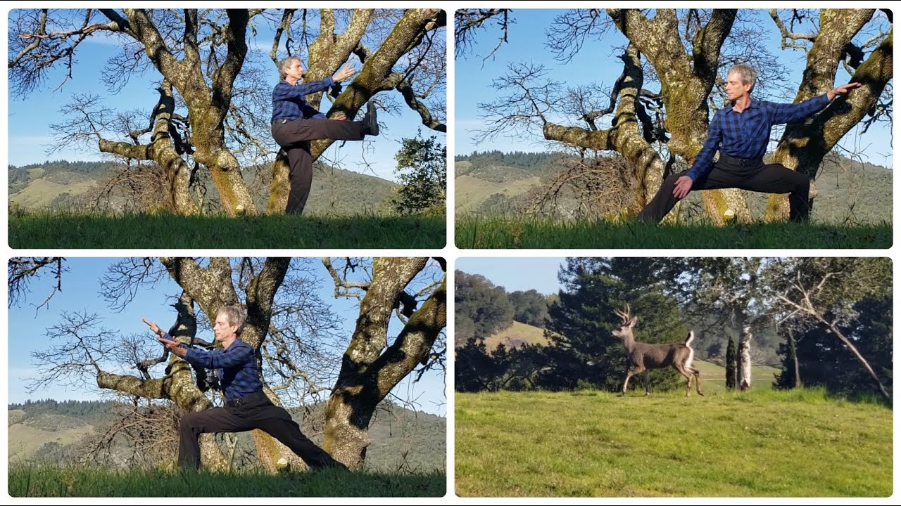 Tai chi qigong moments of flow & stillness.