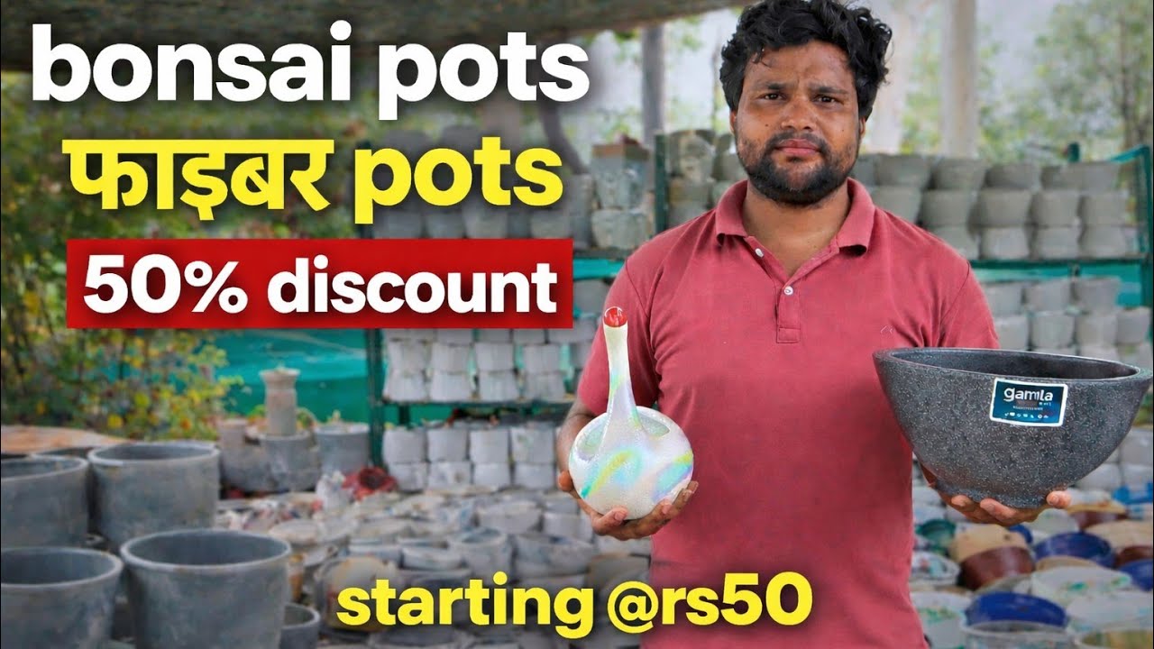 सिर्फ ₹50 से Bonsai Pots | Fiber Pots | Ceramic Pots | Terracotta Pots | 50% Discount