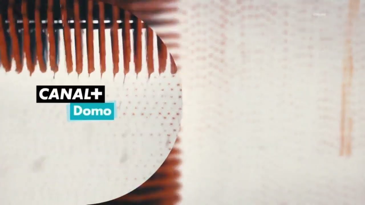 Canal+ Domo (Czech) - Kompilacja identów z 2020-2023