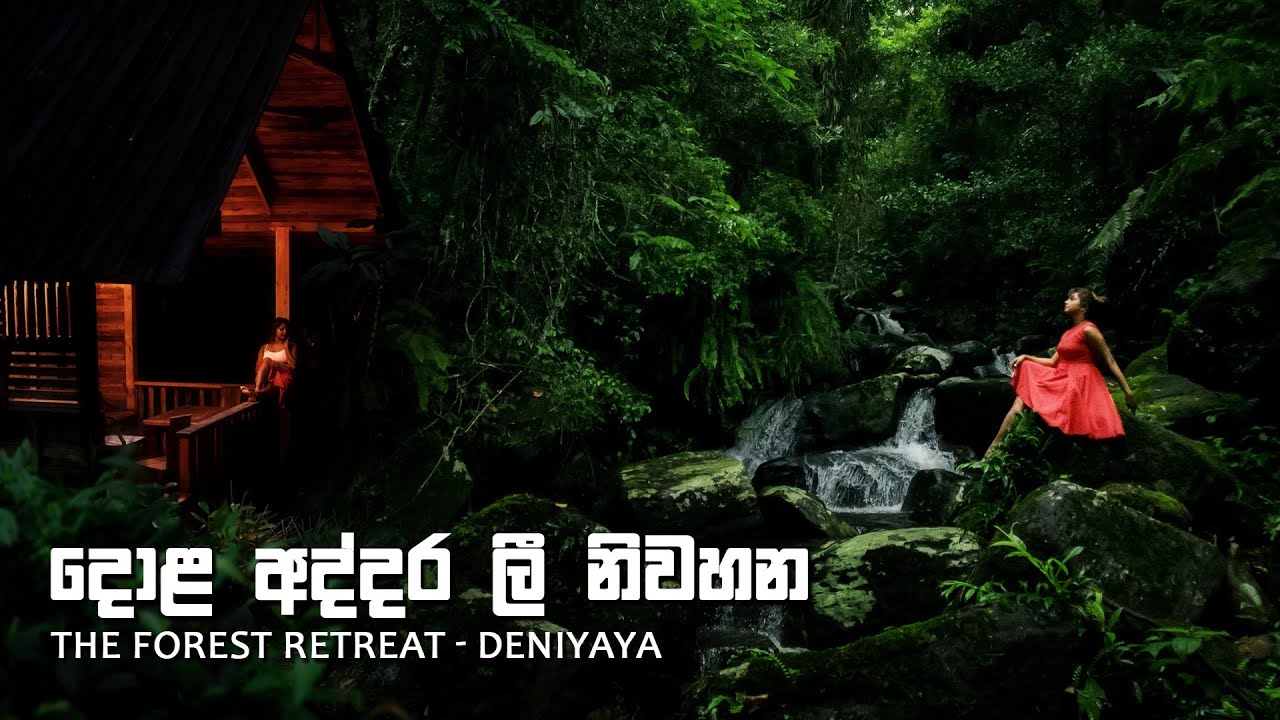 වන අරණක සුවබර නවාතැන - The Forest Retreat - Deniyaya Luxury Wood Cabana #nature #srilanka #calmness