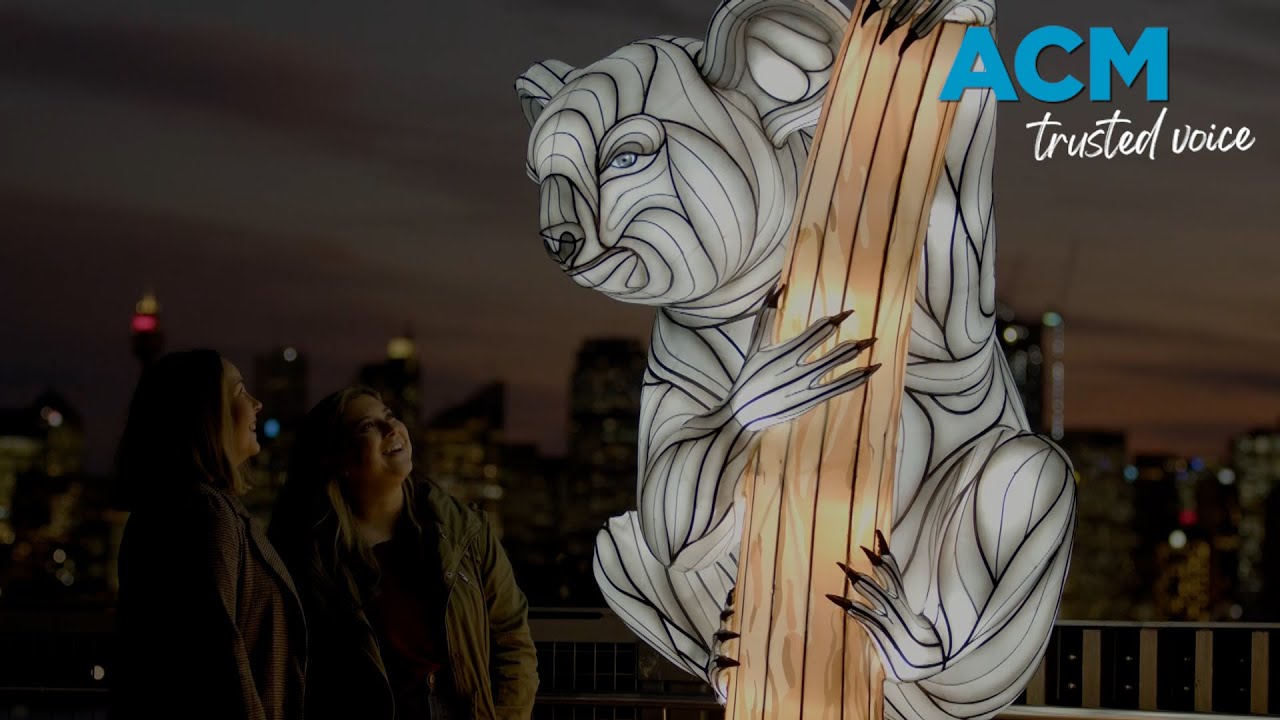 Wild Lights: Taronga Zoo's after-dark animal adventure for Vivid Sydney