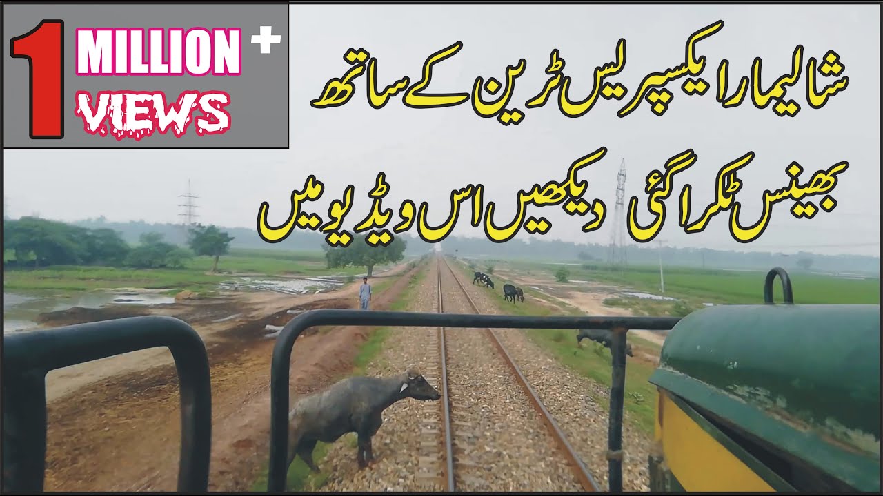 Live Cow hit with Train Shalimar Express 28dn near Qila Sheikhpura Pakistan Railways