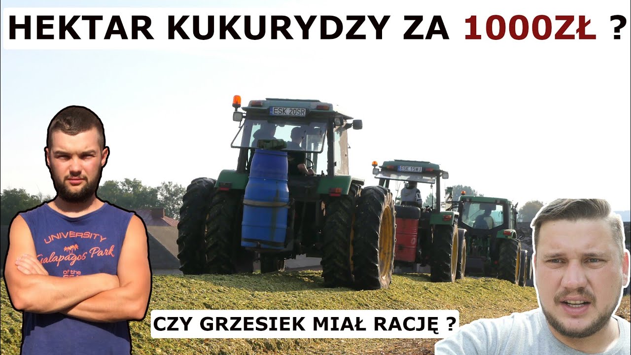 ILE KOSZTUJE 1 HA KISZONKI Z KUKURYDZY ? [po Mieszance Gorzowskiej]