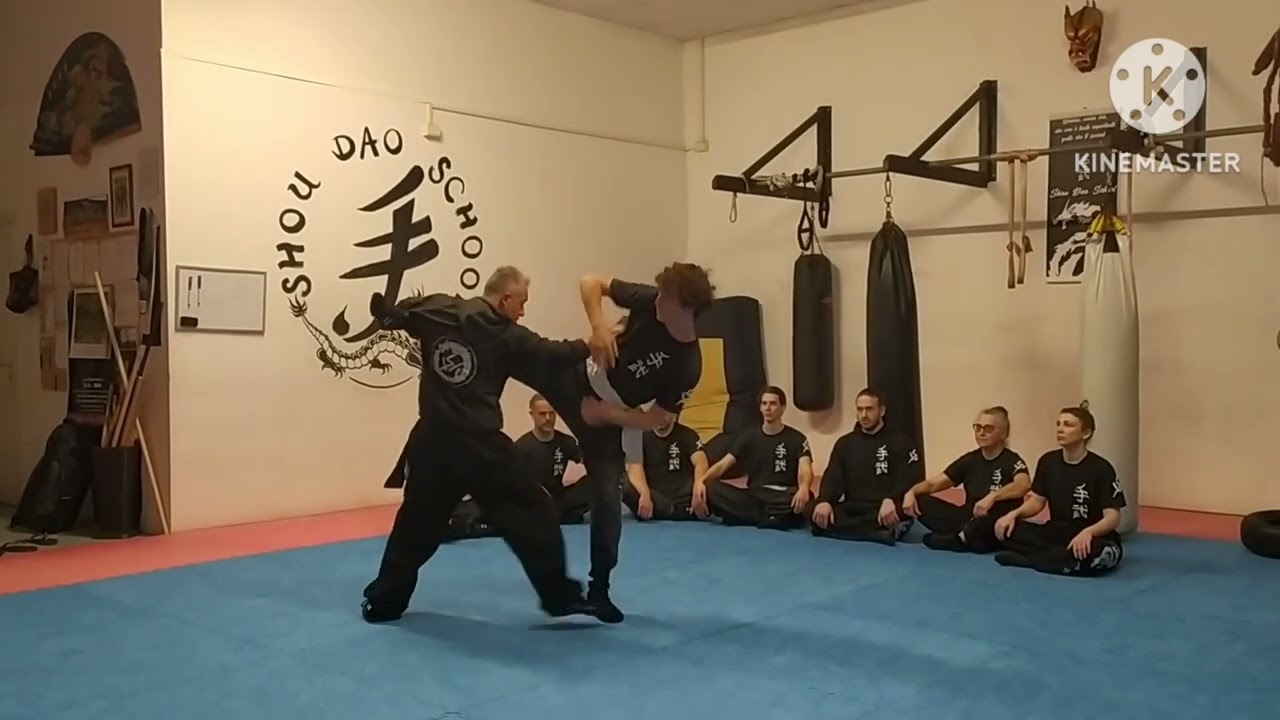 KUNG FU, combattimento e forme.