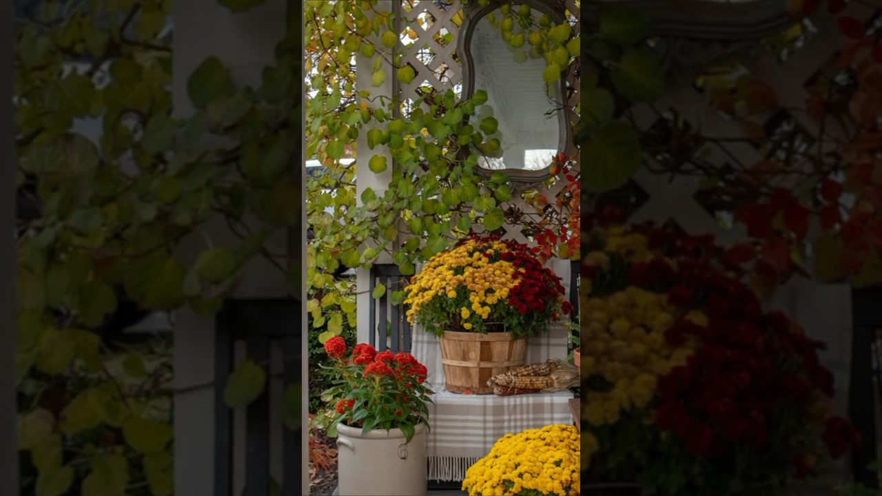Small Porch Decorating For Every Season