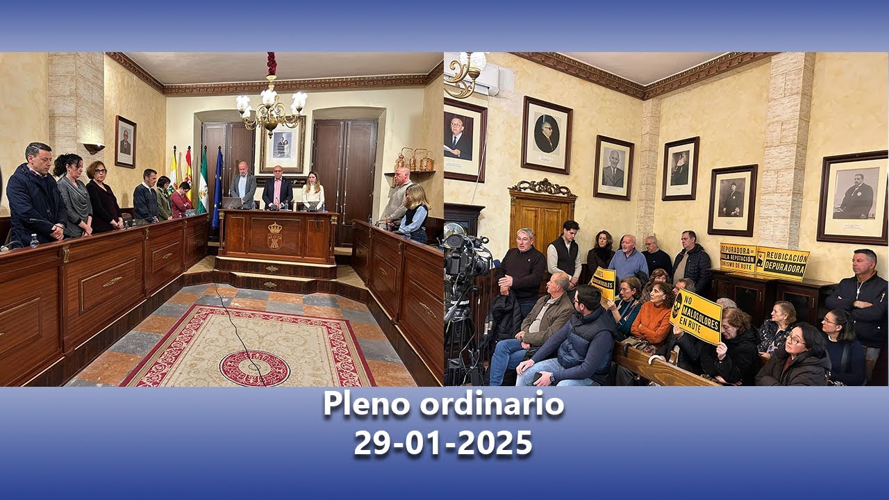 Pleno ordinario 29 01 2026