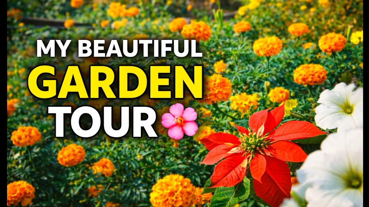 Giving my GARDEN TOUR  #gardeningideas  #viralvideo @mydreamgarden_8411