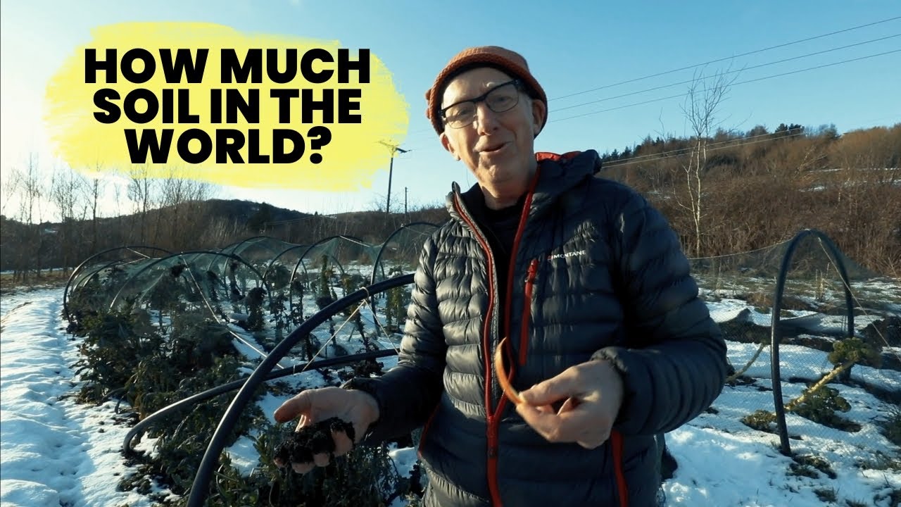 How much soil is there in the world? A demonstration