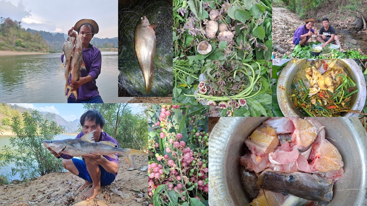 Curry 🍛 fish 🐟 🐠 ညၣ်ဆုၣ်ထီခိၣ်ကသူ