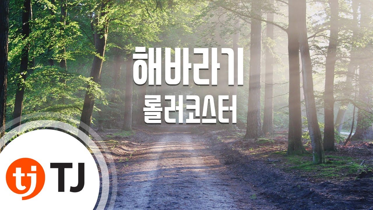 [TJ노래방] 해바라기 - 롤러코스터 (Haebaragi - (Roller Coaster) / TJ Karaoke