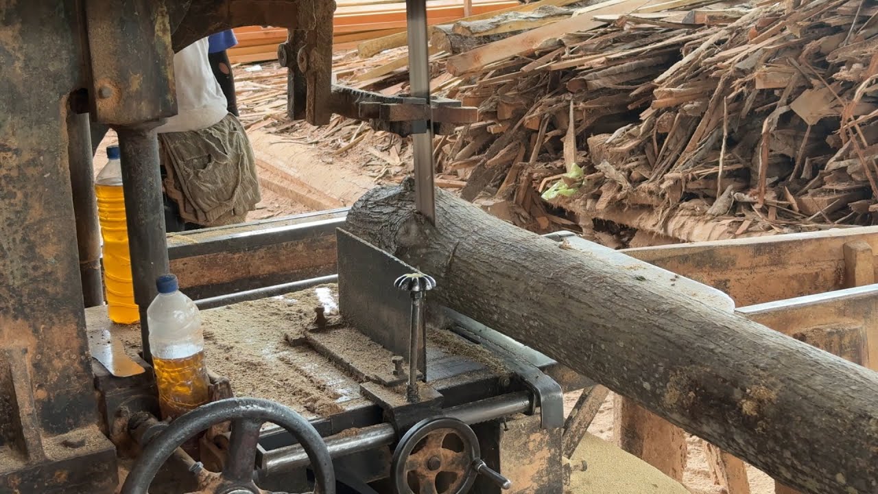 Integrating the Advanced Sawmill Machine Technology of the Future of Sawmill Mills