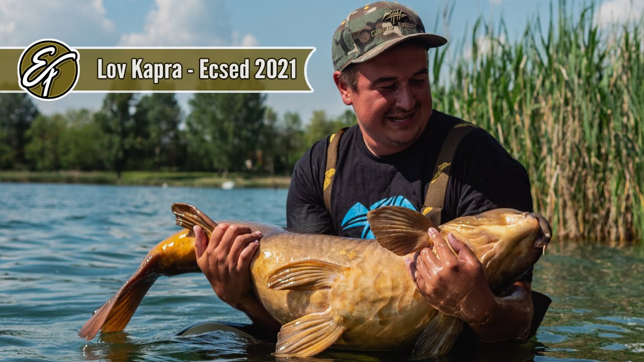 Lov Kapra na Maďarskom Jazere Ecsed 2021