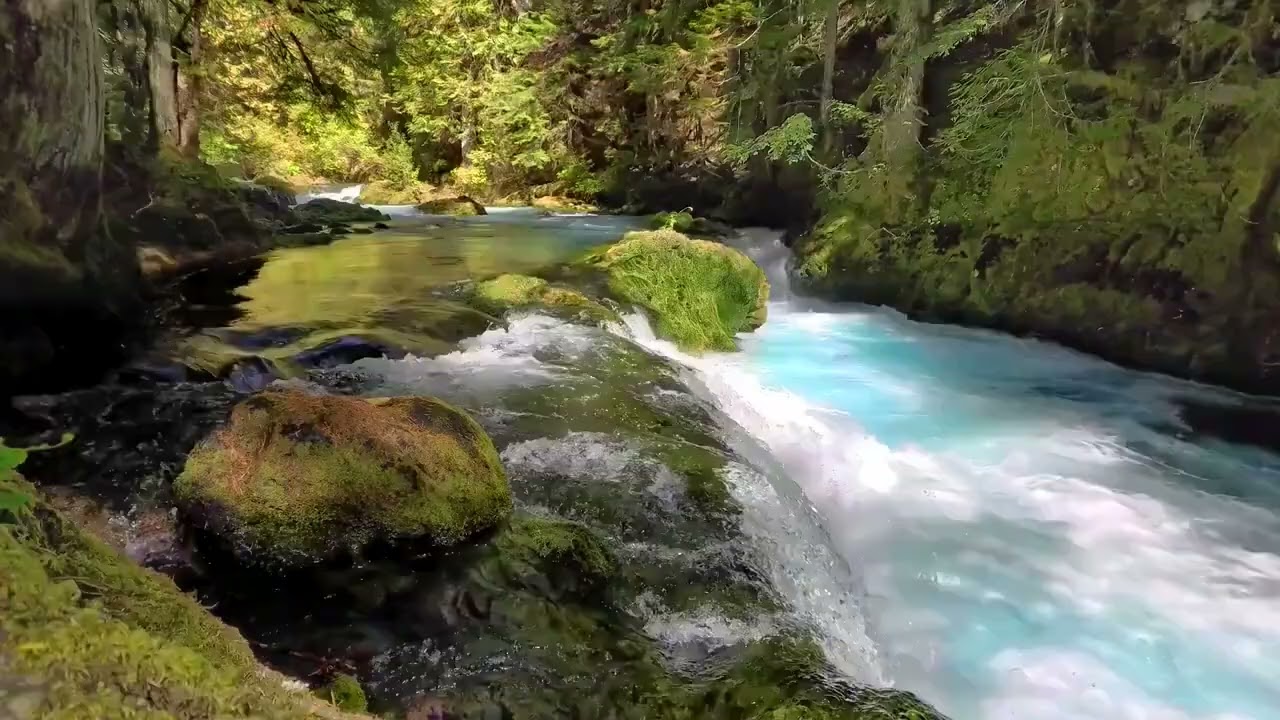 Crystal River ASMR: Forest Serenity for Sleep & Focus 🌿💧 #NatureSounds #ASMR