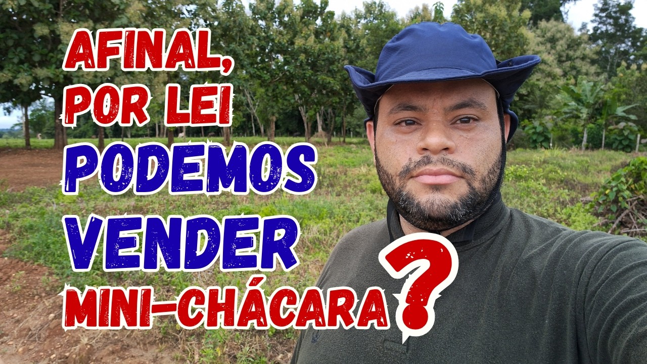 Afinal, a lei permite a venda de mini chácara?